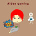 Aiden gaming