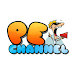 PE CHANNEL