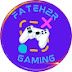 Fateh2r Gaming