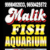 Malik fish aquarium