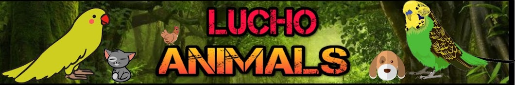 LUCHO ANIMALS