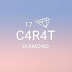 logo 17CARAT DIAMOND