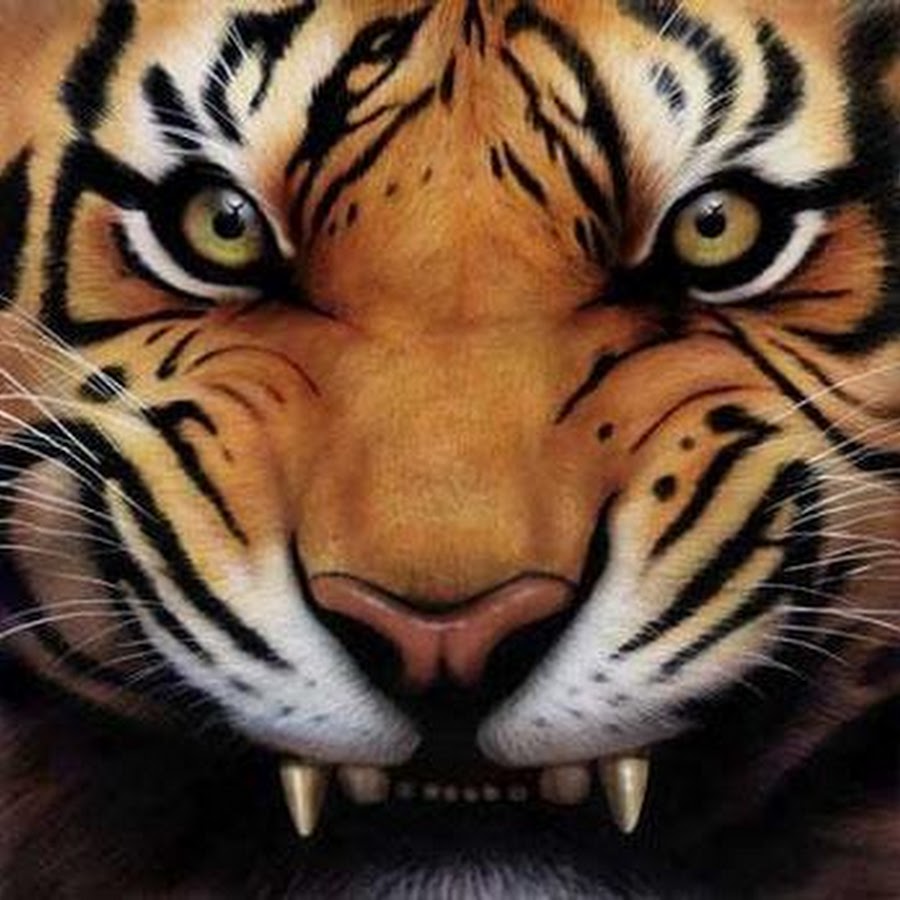 Аватар тигра
