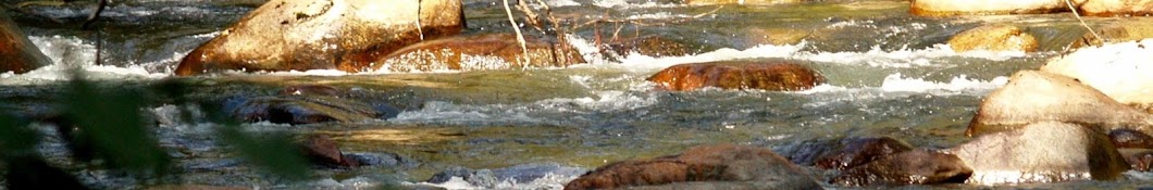 Coquitlam River Watershed Society