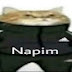 Napim