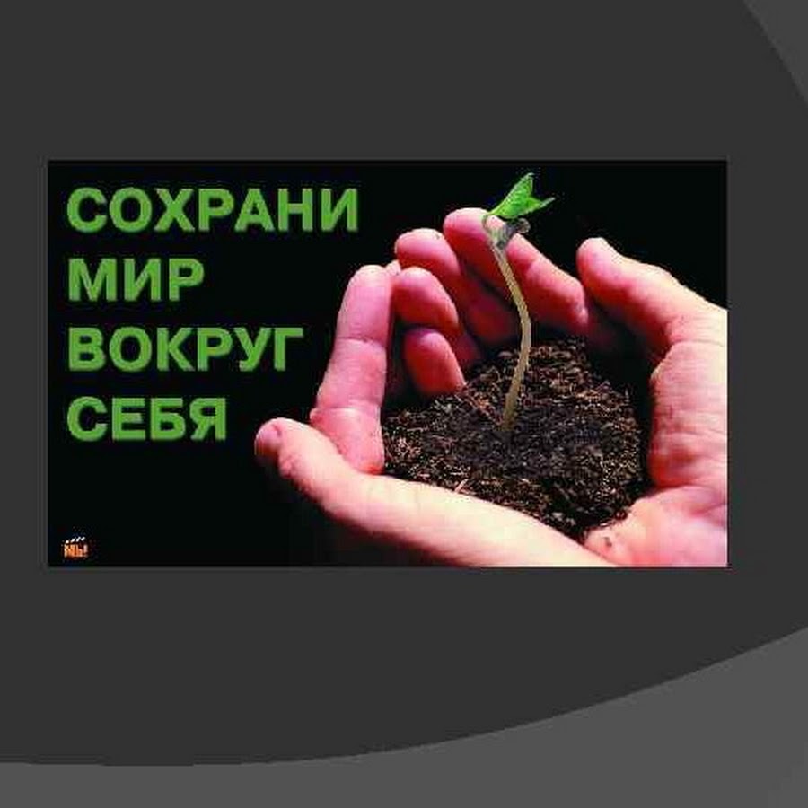 Сохрани мир вокруг себя картинки