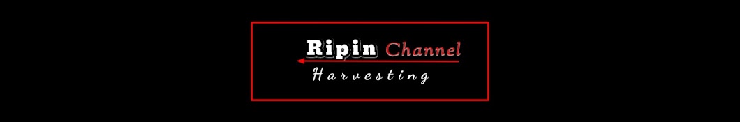 Ripin Channel