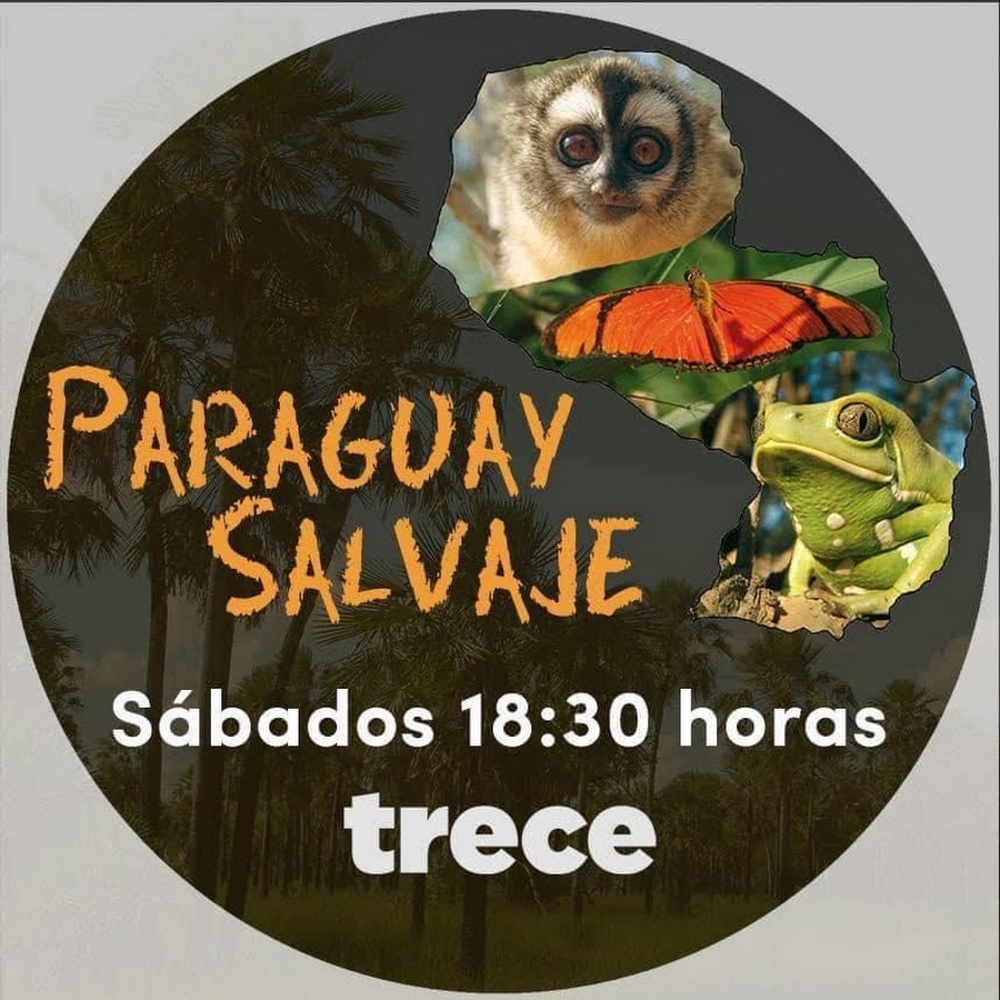 Paraguay Salvaje @ParaguaySalvaje