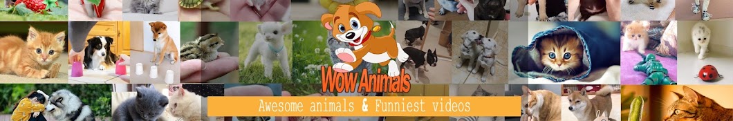 Wow Animals Banner