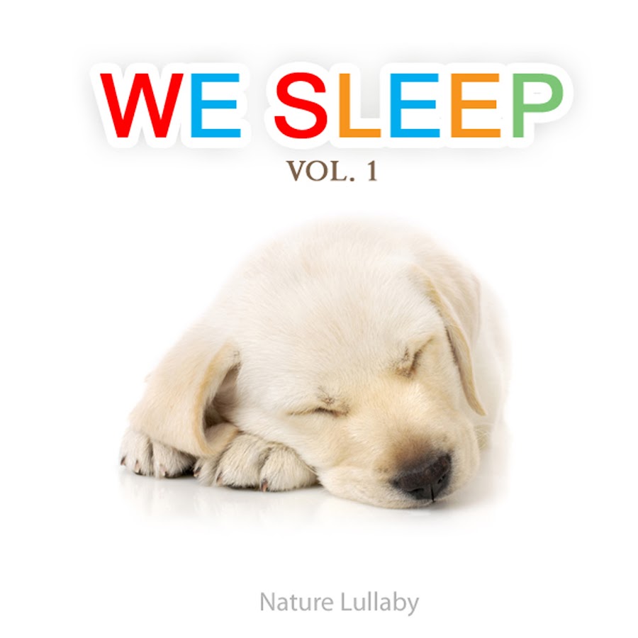 Имена для Sleep Dogs. Putting the Dog to Sleep. Sleep my Pet Colour.