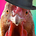 logo Thegamingchicken