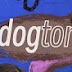 DogtorGame