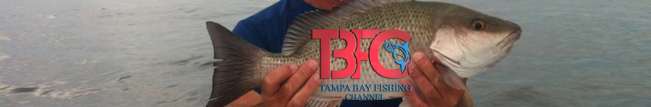 Tampa Bay Fishing Channel 