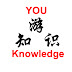 logo YOU Knowledge