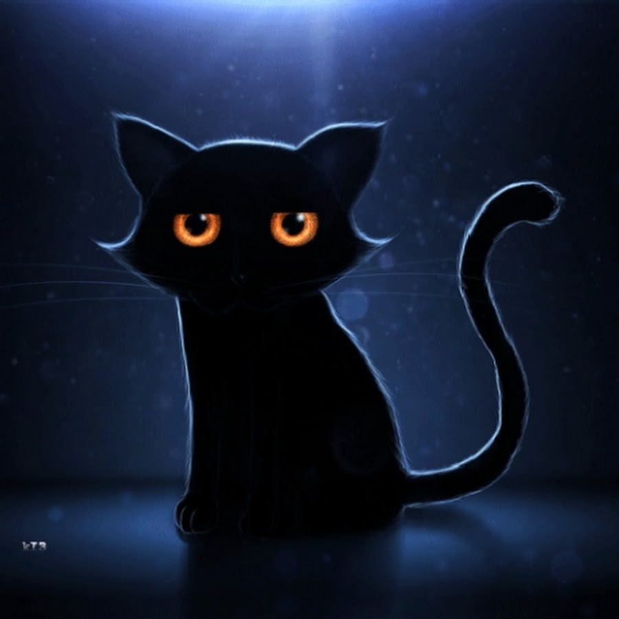 Аватар черный кот. Чёрный кот. Красивый черный кот. Черный кот на аву. Чёрный кот арт.