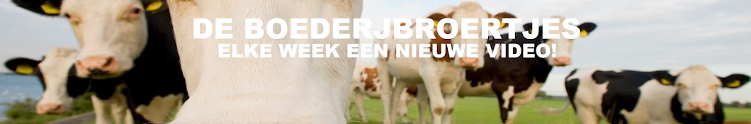 de boerderijbroertjes