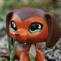 LPS Raven