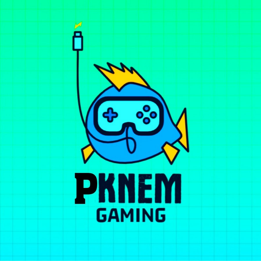PKNem Gaming