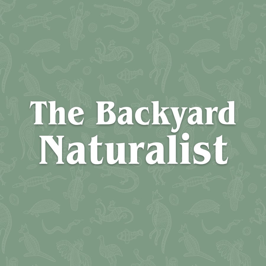 The Backyard Naturalist @the-backyard-naturalist