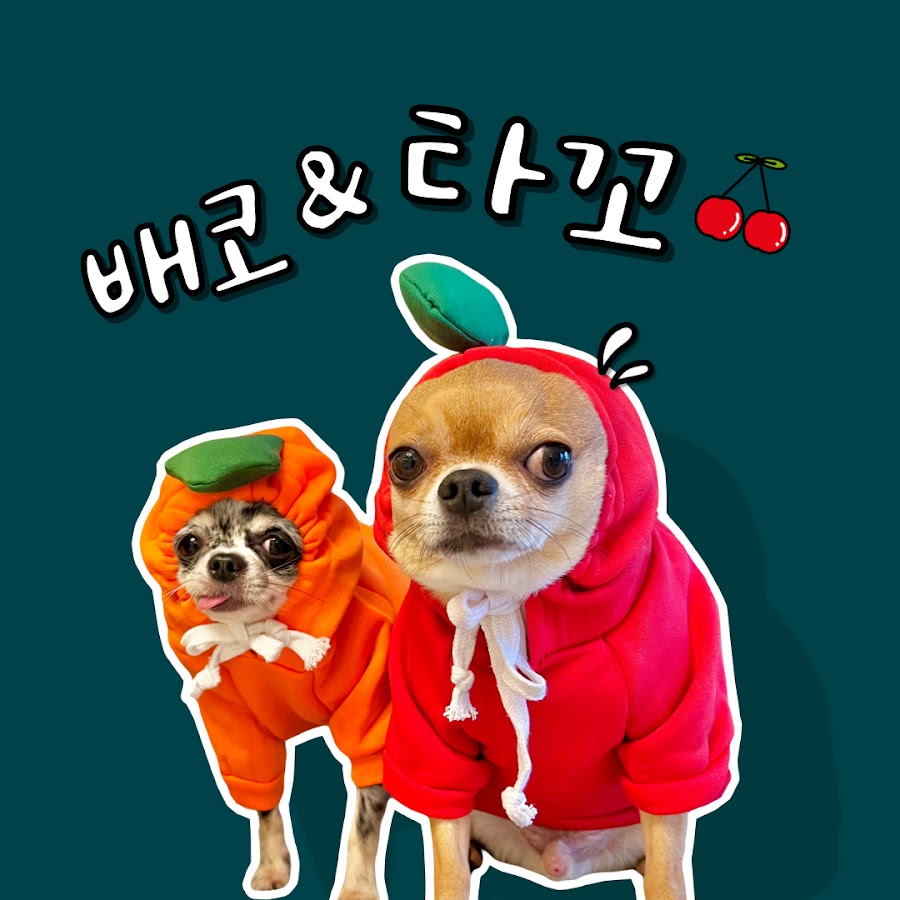 타꼬츄배코츄 - YouTube 타꼬츄배코츄