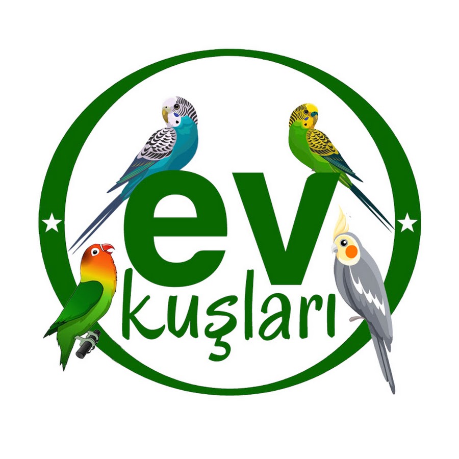 EV KUŞLARI (Home birds) @evkuslari