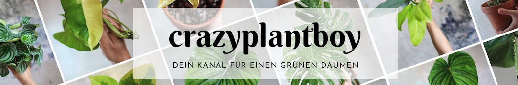 crazyplantboy Banner