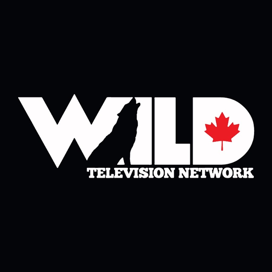 Wild TV
