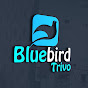 Bluebird Trivo