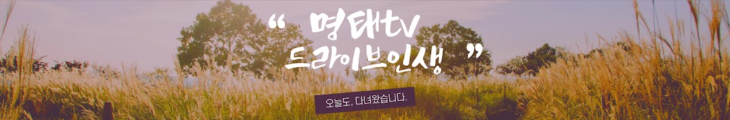 명태tv의 드라이브인생