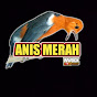 Anis merah WWDGK 