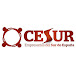 CESUR Empresarios del Sur de España