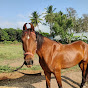 God clinton horsemanship vellore