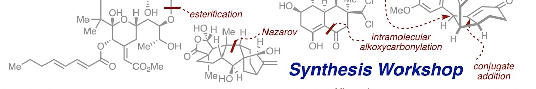 Synthesis Workshop Videos