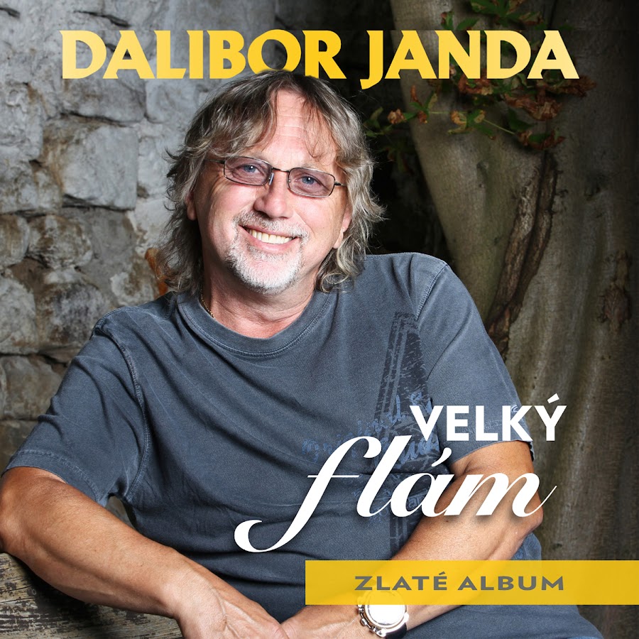 Dalibor Janda - Topic