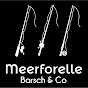 MeerforelleBarsch&Co