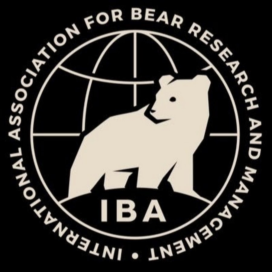 International Bear Association (IBA)