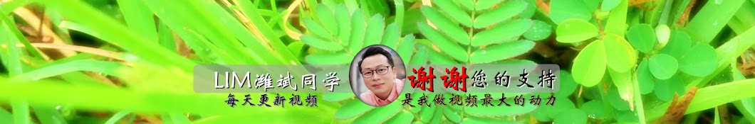 LimWeiPin林潍斌同学