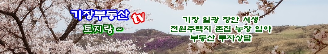 기장부동산 t/v 토지랑~