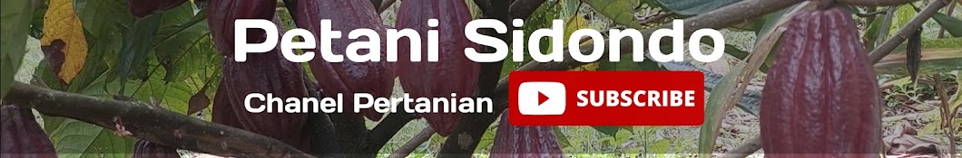 Petani Sidondo