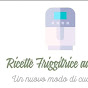 FRIGGITRICE AD ARIA RICETTE