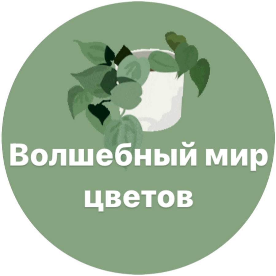 ВОЛШЕБНЫЙ МИР ЦВЕТОВ