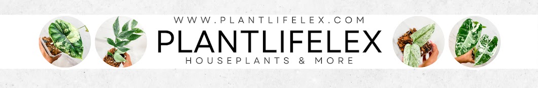 PlantLifeLex