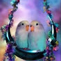 قالتلي العصفورة Lovebirds