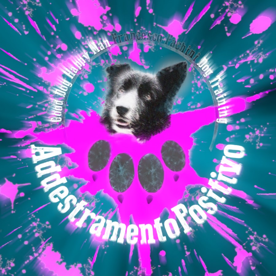 AddestramentoPositivo FrancescoFachini @addestramentopositivofrancesco