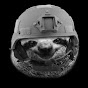 Unofficial Sloth