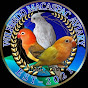 wilfredo opaline breeder