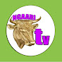 NGAARI TV OFFICIEL