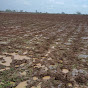 Telugu Village Agriculture