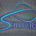 Silver Rays Swim Club