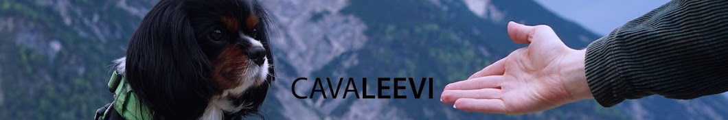 cavaleevi